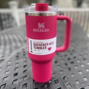 Stanley Pink valentine 40oz